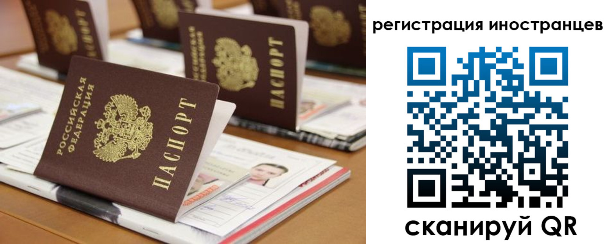 прописка для работы в Пионерском